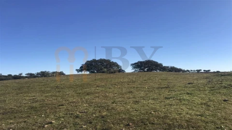 Quinta para Venda em Santana de Cambas