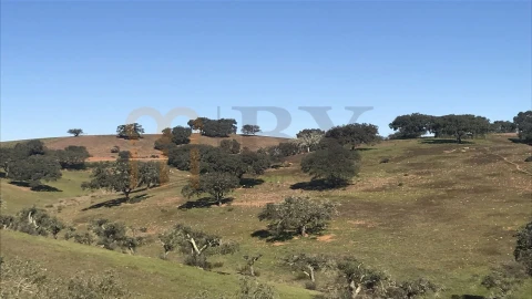 Quinta para Venda em Santana de Cambas