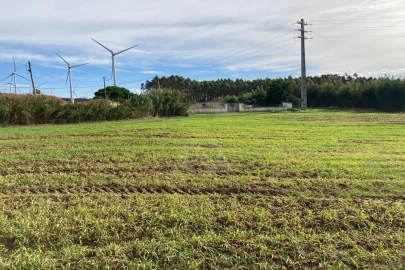 Terreno Agricola ou Rústico para Venda em São Bartolomeu dos Galegos e Moledo
