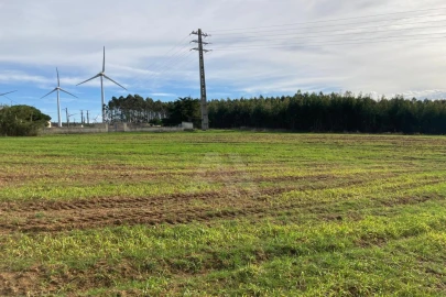 Terreno Agricola ou Rústico para Venda em São Bartolomeu dos Galegos e Moledo