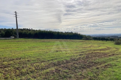 Terreno Agricola ou Rústico para Venda em São Bartolomeu dos Galegos e Moledo