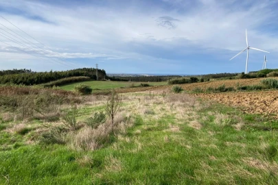 Terreno Agricola ou Rústico para Venda em São Bartolomeu dos Galegos e Moledo