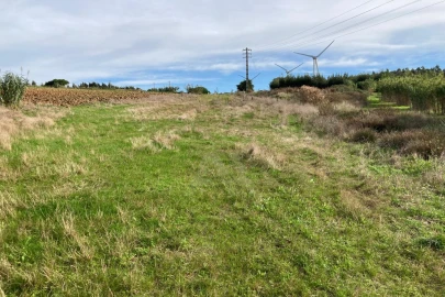 Terreno Agricola ou Rústico para Venda em São Bartolomeu dos Galegos e Moledo