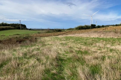 Terreno Agricola ou Rústico para Venda em São Bartolomeu dos Galegos e Moledo