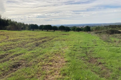 Terreno Agricola ou Rústico para Venda em São Bartolomeu dos Galegos e Moledo