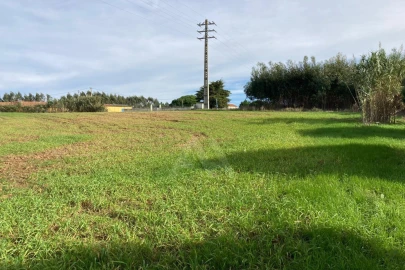 Terreno Agricola ou Rústico para Venda em São Bartolomeu dos Galegos e Moledo