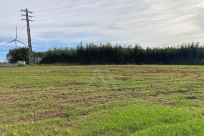 Terreno Agricola ou Rústico para Venda em São Bartolomeu dos Galegos e Moledo