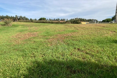 Terreno Agricola ou Rústico para Venda em São Bartolomeu dos Galegos e Moledo