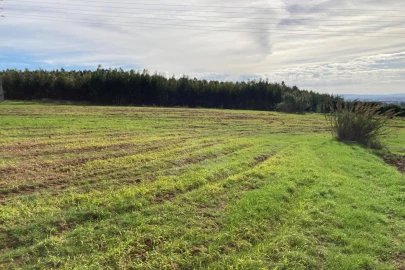 Terreno Agricola ou Rústico para Venda em São Bartolomeu dos Galegos e Moledo