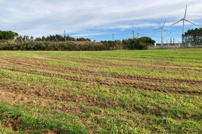 Terreno Agricola ou Rústico para Venda em São Bartolomeu dos Galegos e Moledo
