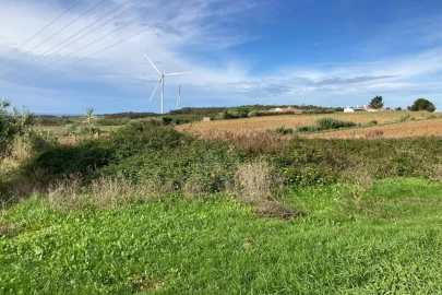 Terreno Agricola ou Rústico para Venda em São Bartolomeu dos Galegos e Moledo