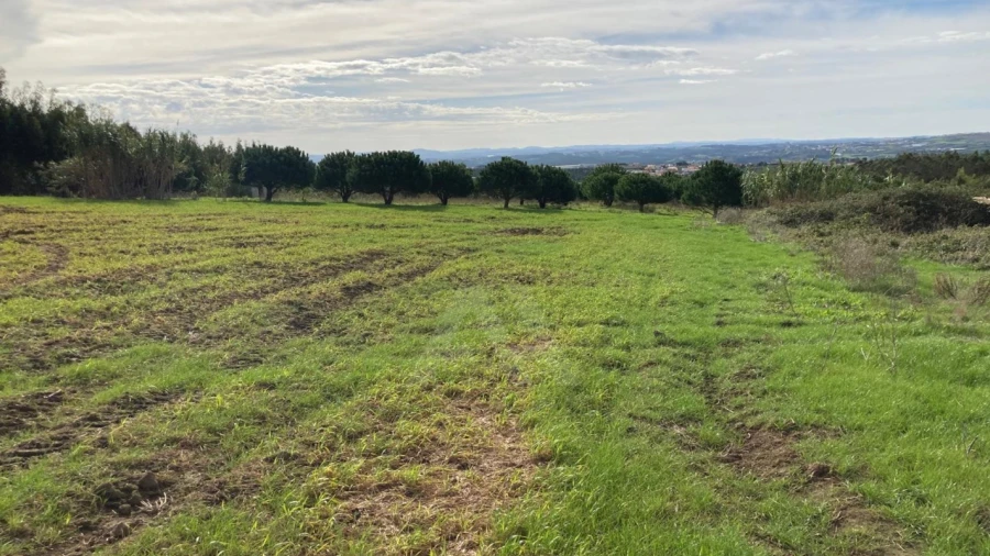 Terreno Agricola ou Rústico para Venda em São Bartolomeu dos Galegos e Moledo