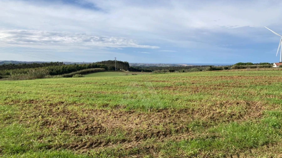 Terreno Agricola ou Rústico para Venda em São Bartolomeu dos Galegos e Moledo