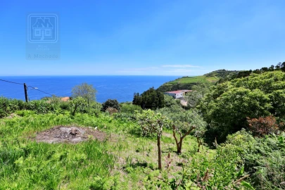 Moradia T1 para Venda em Santana