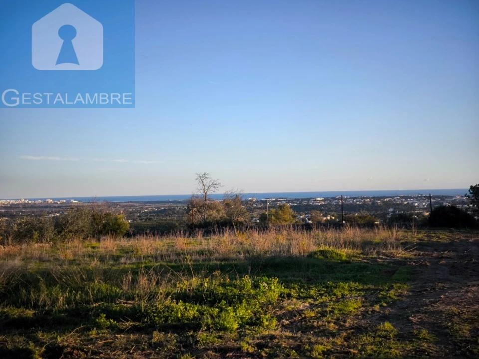Terreno para Venda em Ferreiras Foto 4