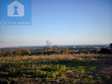 Terreno para Venda em Ferreiras