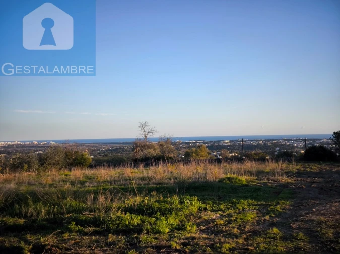 Terreno para Venda em Ferreiras Foto 4