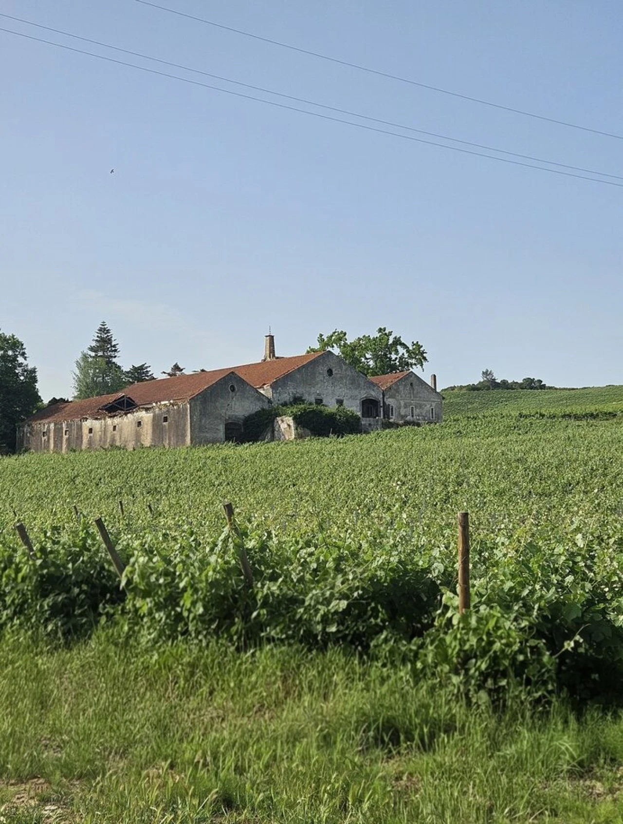 Quinta T0 para Venda em Aldeia Galega da Merceana e Aldeia Gavinha Foto 1