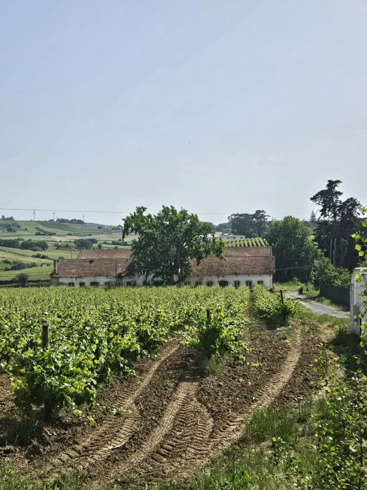 Quinta T0 para Venda em Aldeia Galega da Merceana e Aldeia Gavinha Foto 5