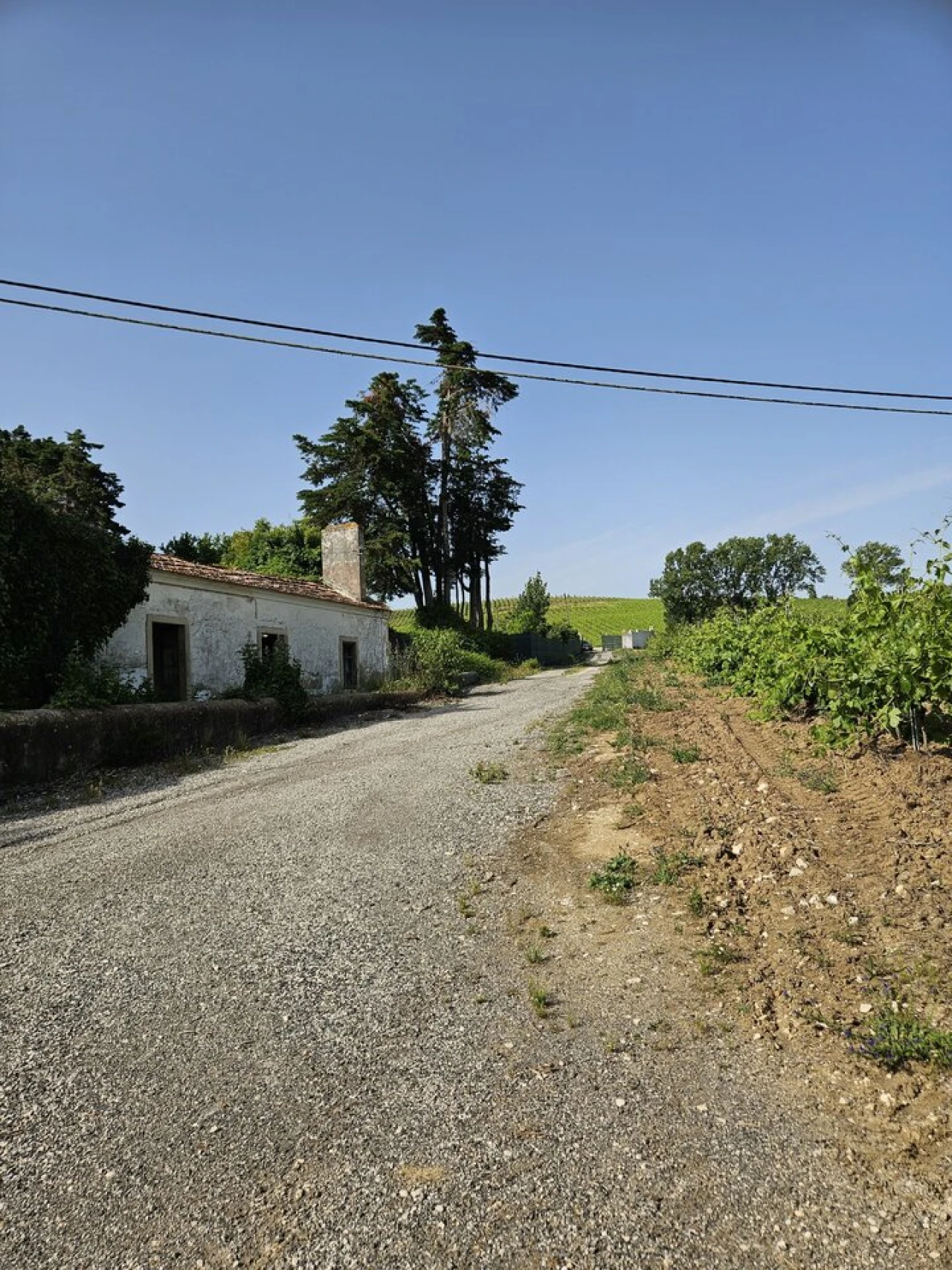 Quinta T0 para Venda em Aldeia Galega da Merceana e Aldeia Gavinha Foto 4