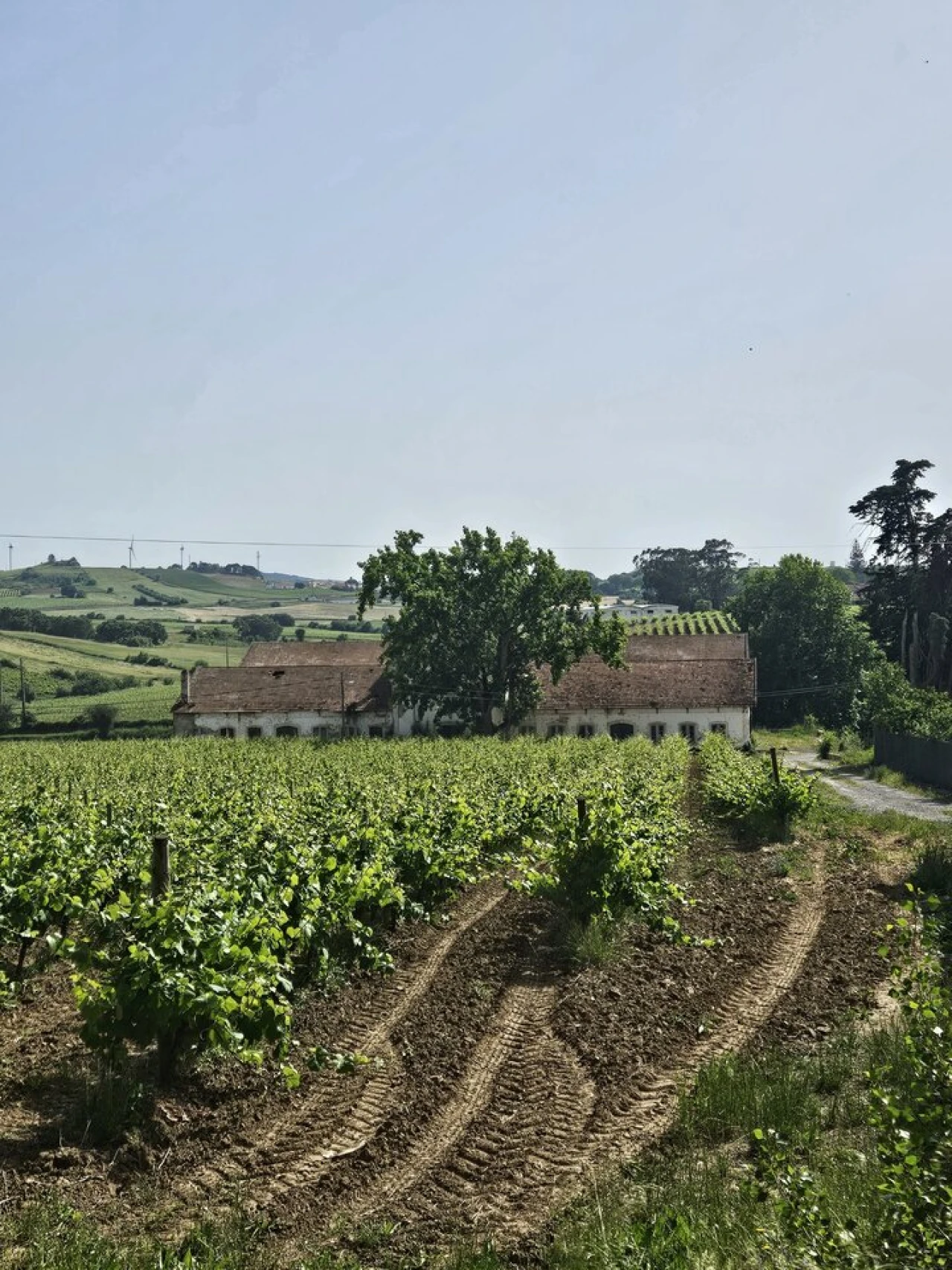 Quinta T0 para Venda em Aldeia Galega da Merceana e Aldeia Gavinha Foto 7