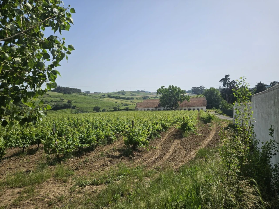 Quinta T0 para Venda em Aldeia Galega da Merceana e Aldeia Gavinha Foto 10