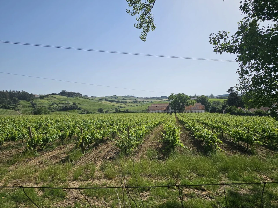 Quinta T0 para Venda em Aldeia Galega da Merceana e Aldeia Gavinha Foto 11