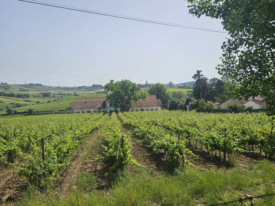 Quinta T0 para Venda em Aldeia Galega da Merceana e Aldeia Gavinha Foto 13