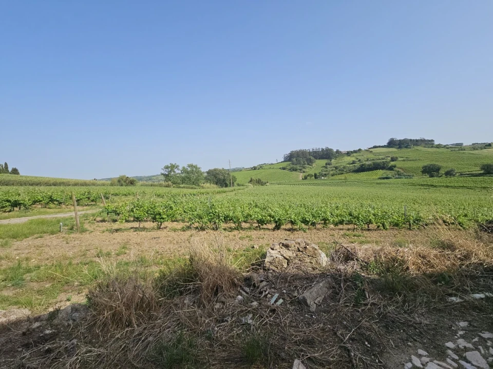 Quinta T0 para Venda em Aldeia Galega da Merceana e Aldeia Gavinha Foto 38