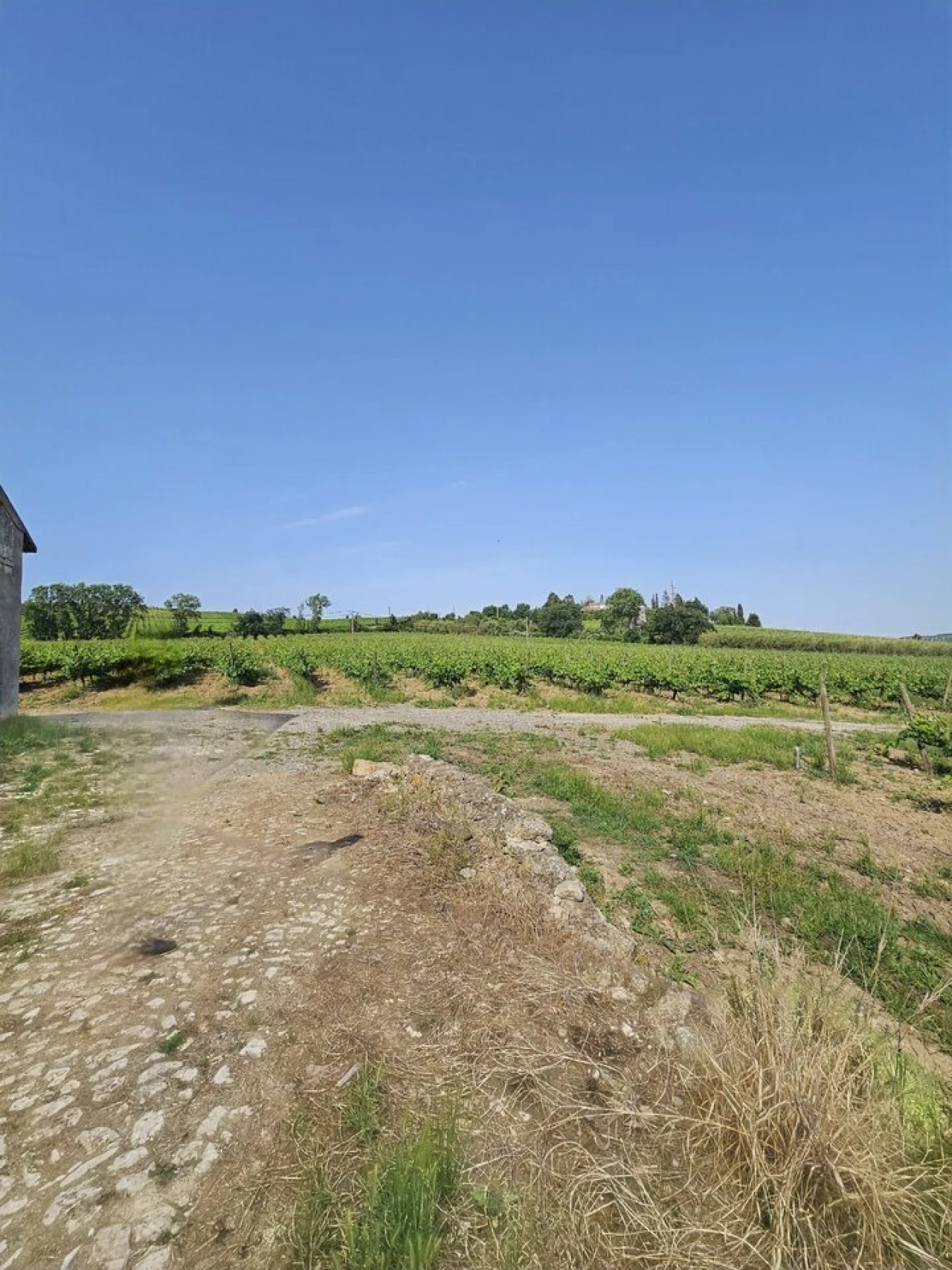 Quinta T0 para Venda em Aldeia Galega da Merceana e Aldeia Gavinha Foto 31
