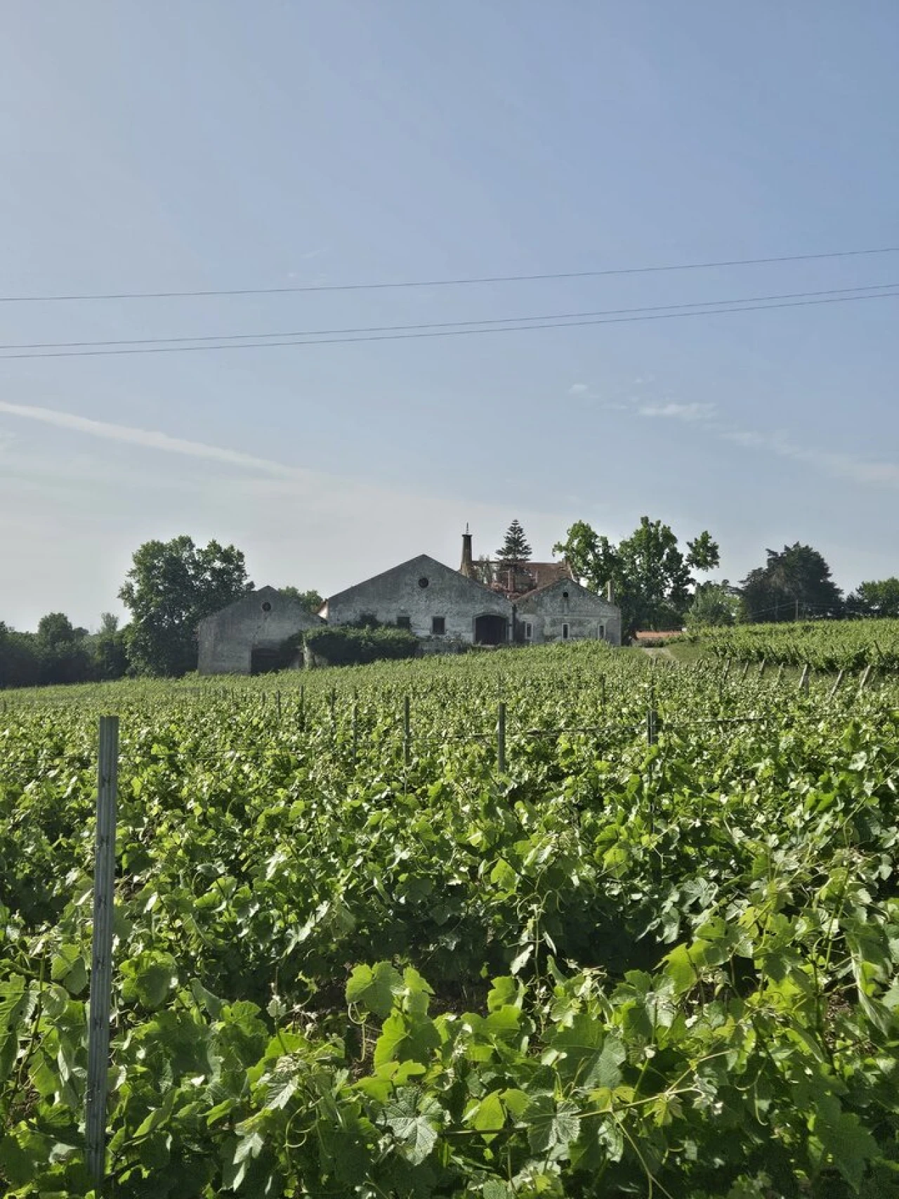Quinta T0 para Venda em Aldeia Galega da Merceana e Aldeia Gavinha Foto 28