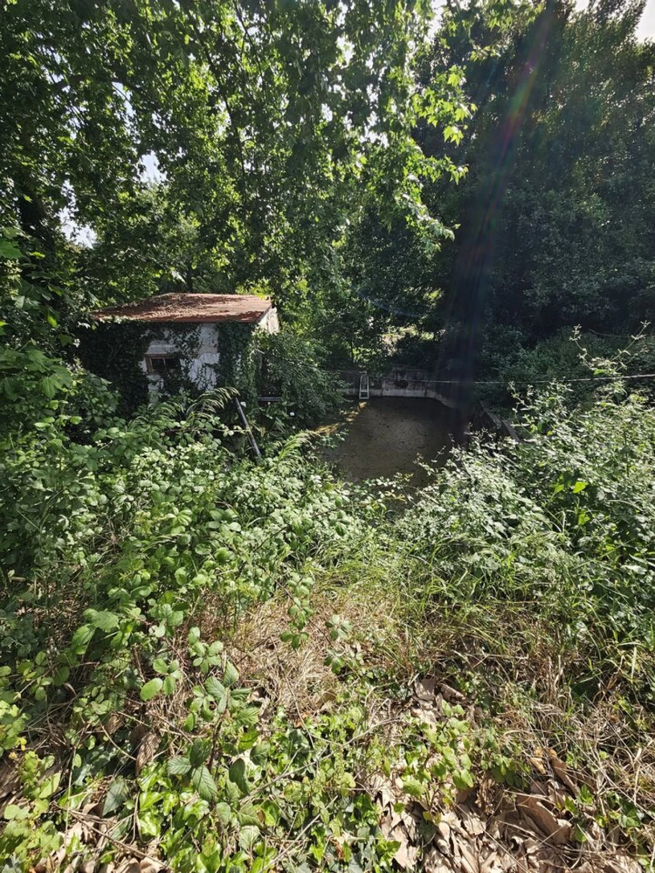 Quinta T0 para Venda em Aldeia Galega da Merceana e Aldeia Gavinha Foto 29