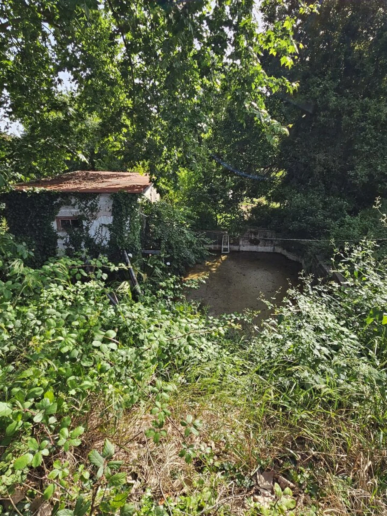 Quinta T0 para Venda em Aldeia Galega da Merceana e Aldeia Gavinha Foto 30