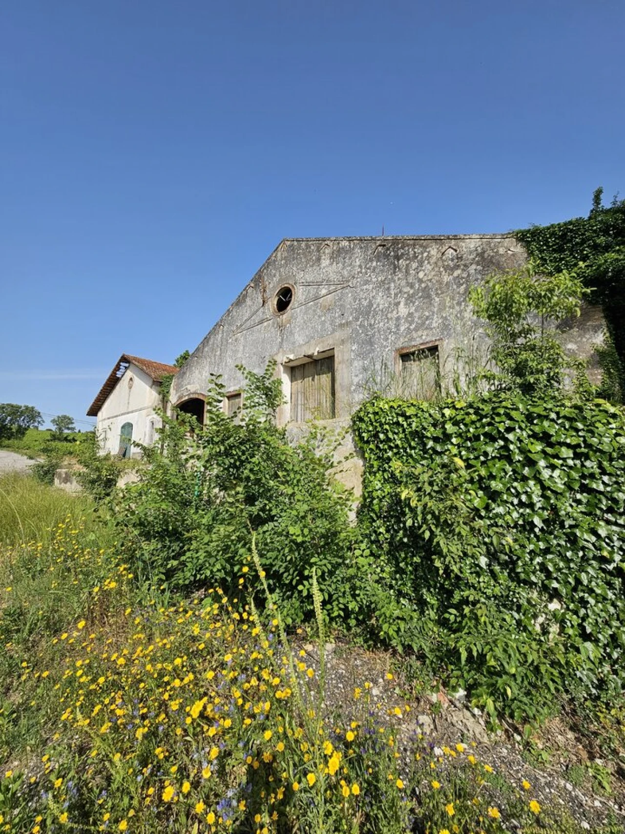 Quinta T0 para Venda em Aldeia Galega da Merceana e Aldeia Gavinha Foto 21
