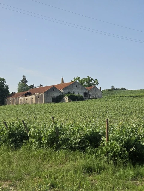Quinta T0 para Venda em Aldeia Galega da Merceana e Aldeia Gavinha