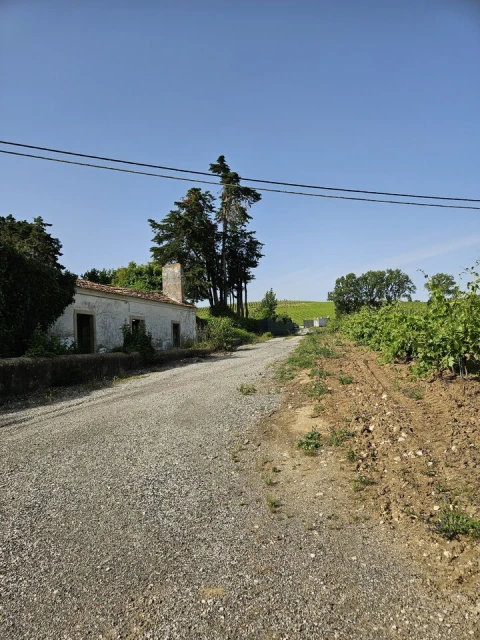 Quinta T0 para Venda em Aldeia Galega da Merceana e Aldeia Gavinha
