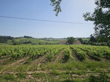 Quinta T0 para Venda em Aldeia Galega da Merceana e Aldeia Gavinha
