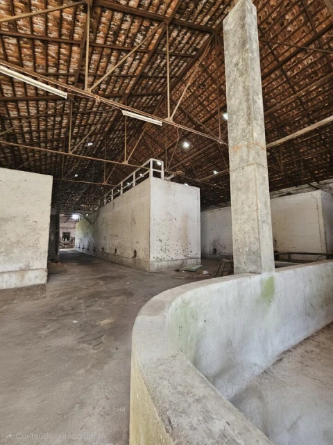 Quinta T0 para Venda em Aldeia Galega da Merceana e Aldeia Gavinha