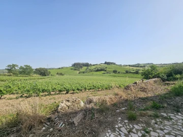 Quinta T0 para Venda em Aldeia Galega da Merceana e Aldeia Gavinha