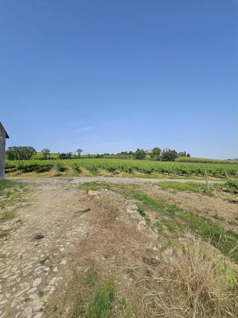 Quinta T0 para Venda em Aldeia Galega da Merceana e Aldeia Gavinha