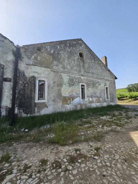Quinta T0 para Venda em Aldeia Galega da Merceana e Aldeia Gavinha
