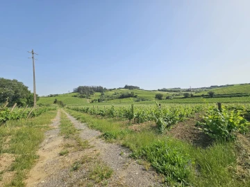 Quinta T0 para Venda em Aldeia Galega da Merceana e Aldeia Gavinha