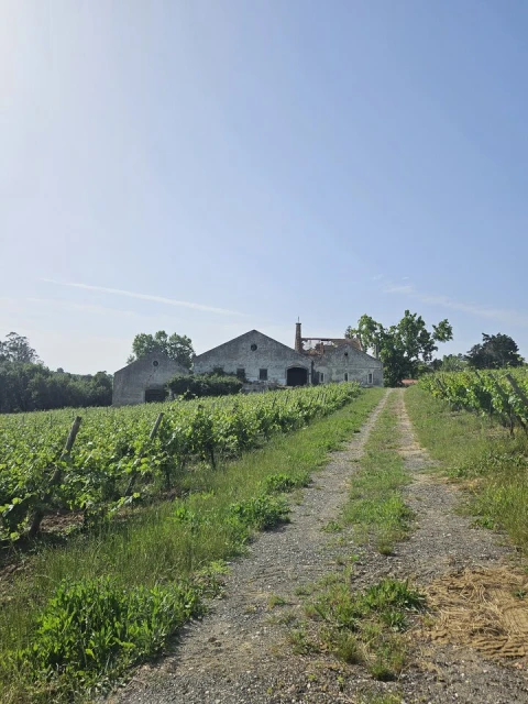 Quinta T0 para Venda em Aldeia Galega da Merceana e Aldeia Gavinha