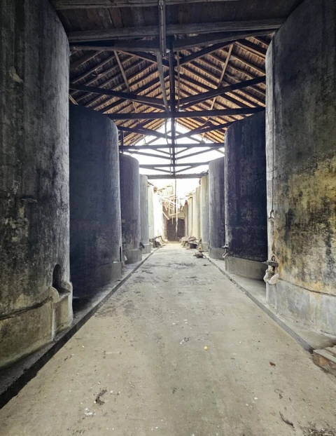 Quinta T0 para Venda em Aldeia Galega da Merceana e Aldeia Gavinha