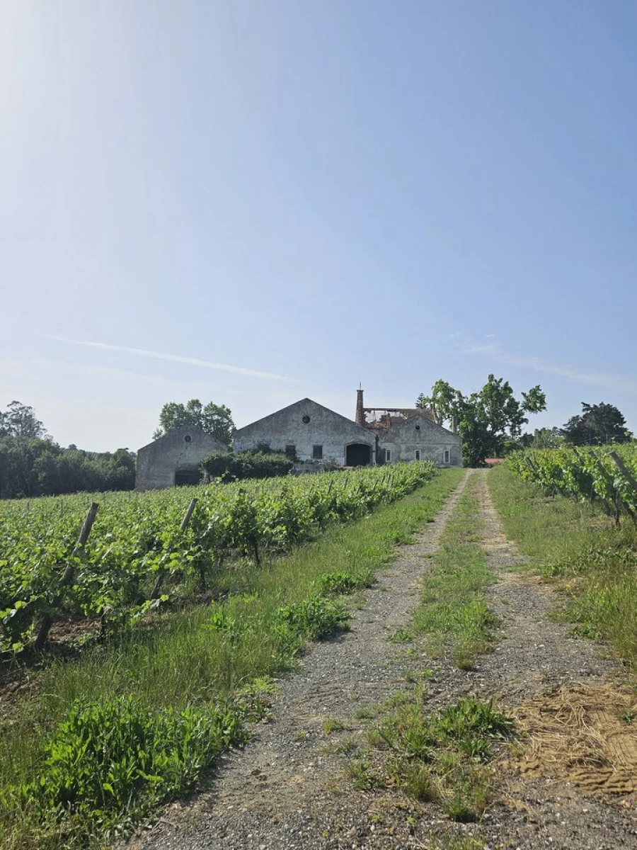 Quinta T0 para Venda em Aldeia Galega da Merceana e Aldeia Gavinha Foto 35