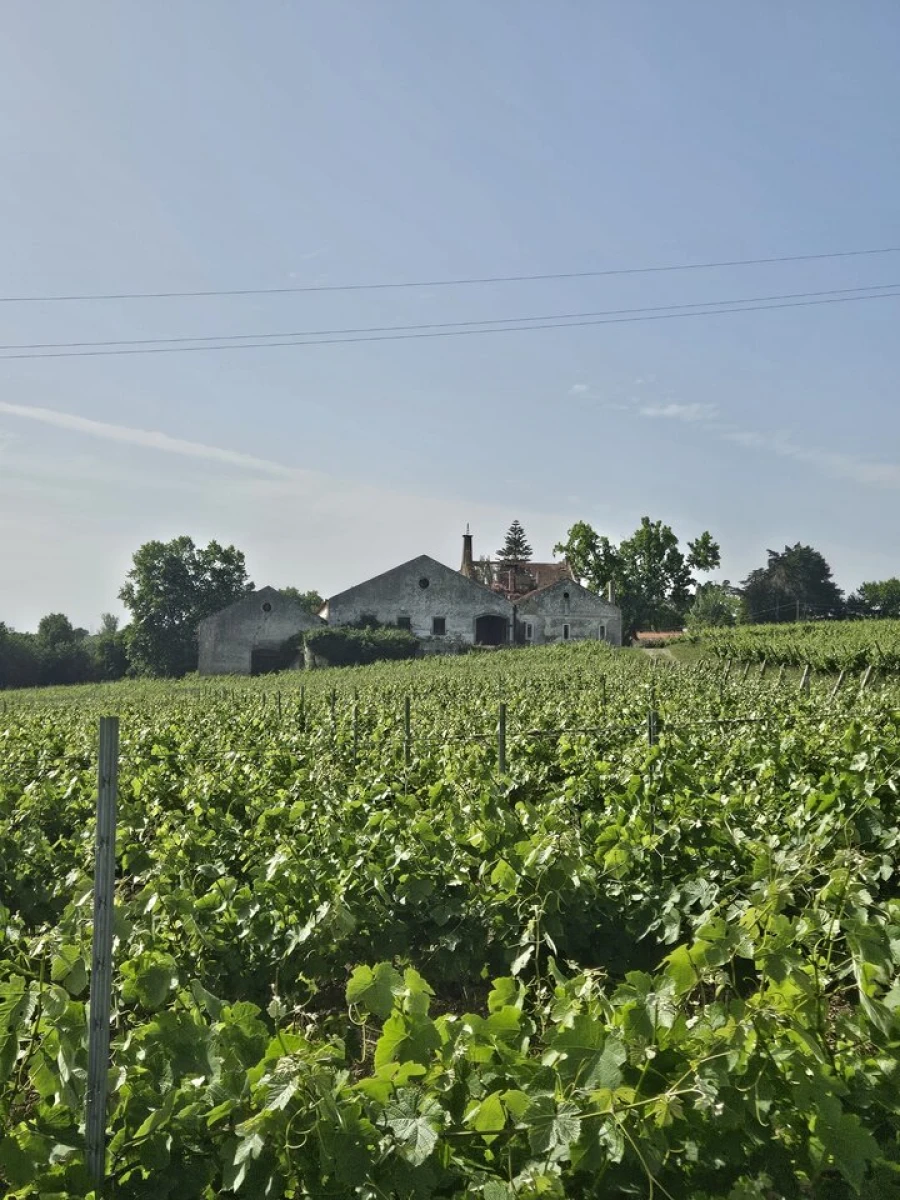 Quinta T0 para Venda em Aldeia Galega da Merceana e Aldeia Gavinha Foto 28