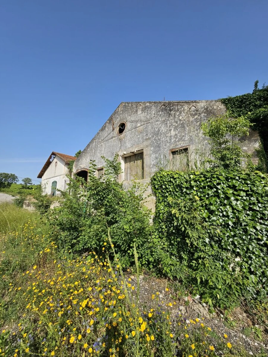 Quinta T0 para Venda em Aldeia Galega da Merceana e Aldeia Gavinha Foto 21