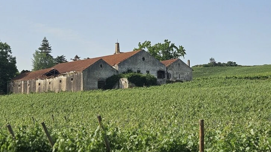 Quinta T0 para Venda em Aldeia Galega da Merceana e Aldeia Gavinha