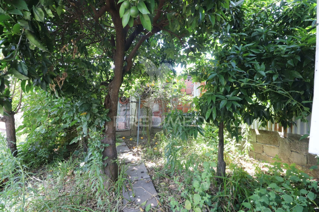 Moradia T3 para Venda em Vila Verde e Barbudo Foto 30