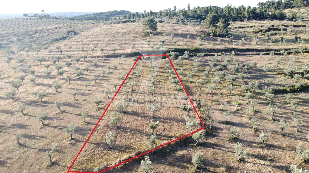 Moradia T3 para Venda em Bouça Foto 26